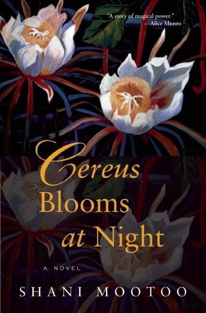 Cereus Blooms at night