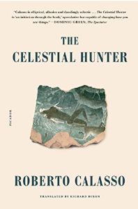 Celestial Hunter