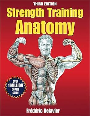 Streth Training Anatomy