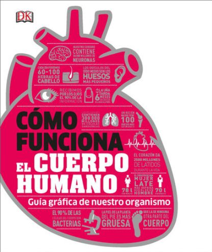 Cómo Funciona El Cuerpo Humano Cómo Funciona El Cuerpo Humano