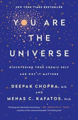 you are the universe you are the universe