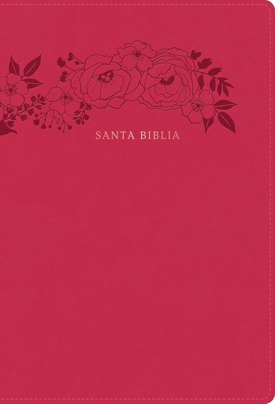 Santa Biblia - Letra Supergigante - NVI Rosa