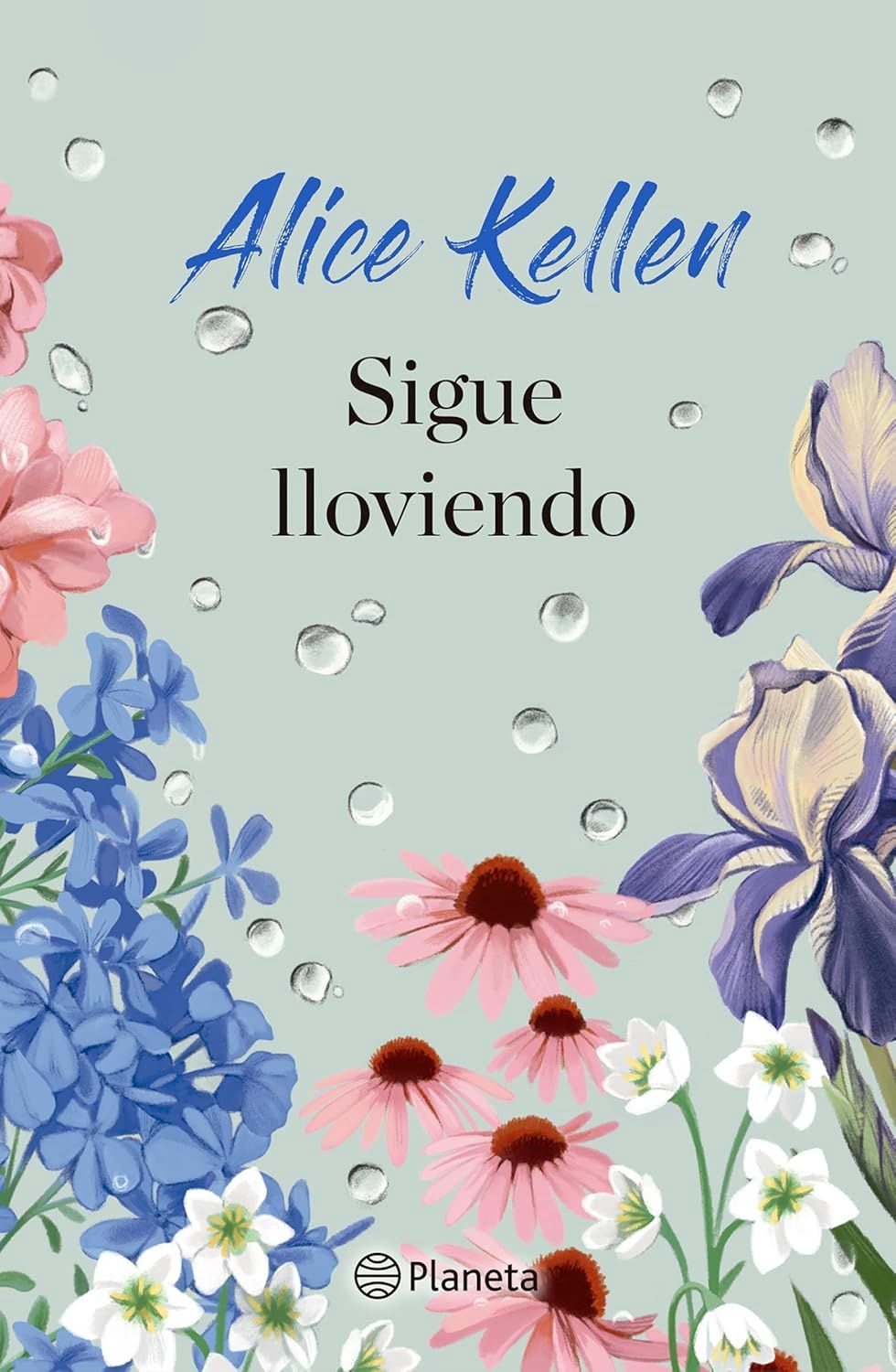 Sigue lloviendo: Novela Sigue lloviendo: Novela