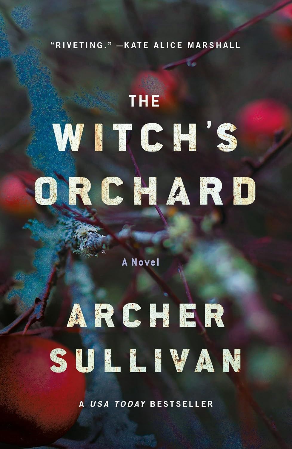 The Witch's Orchard: A Novel