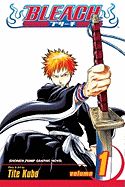 Bleach, Vol. 1 (Bleach #1)