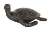 Schildkröte