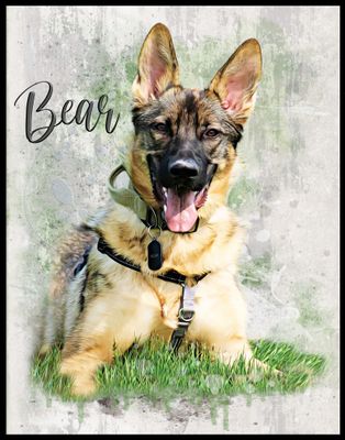 Custom Pet Portrait or Memorial Canvas #1