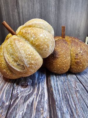 Fall Favorites