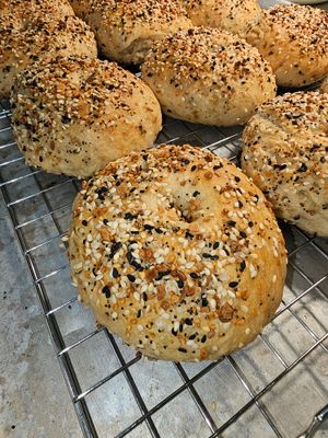 6 pk of Sourdough Bagels