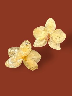 Pendientes de botón de orquídeas