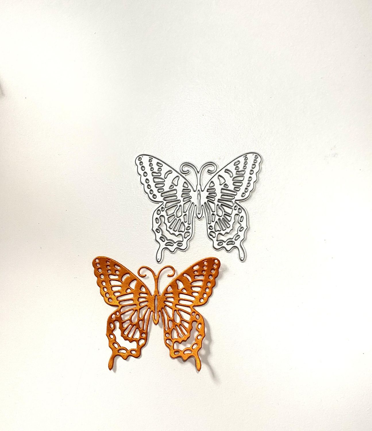Mariposa detallada