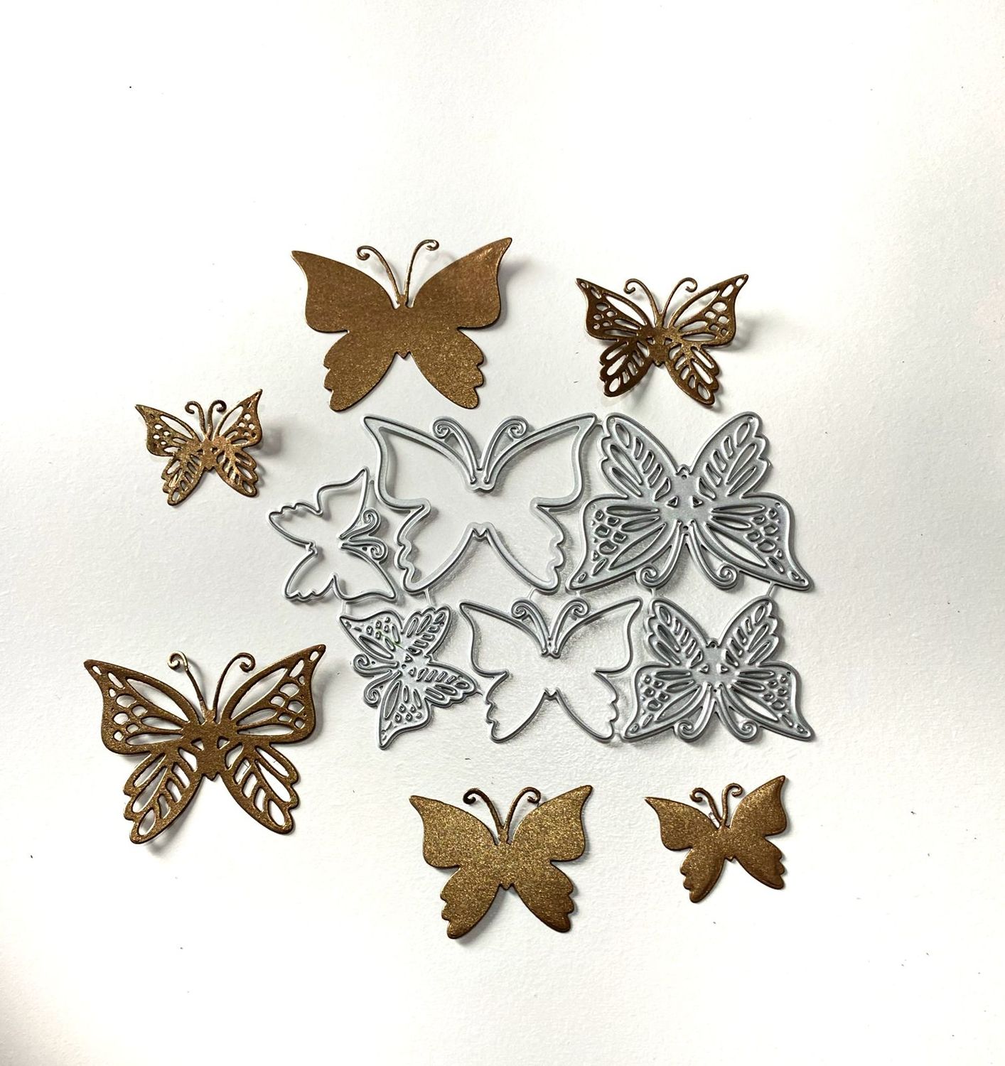 6 Mariposas