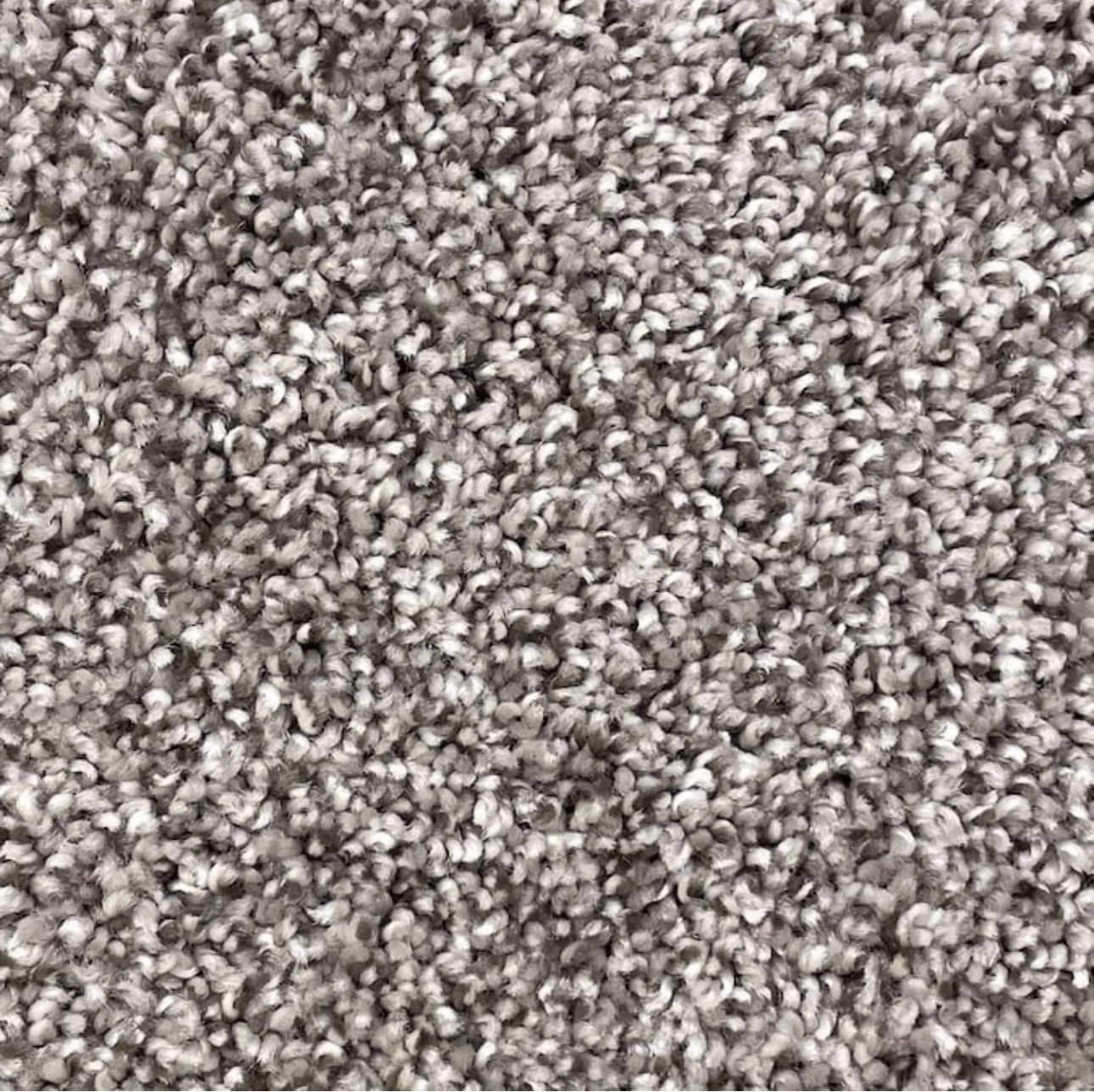 STAINMASTER Notorious Gaucho Brown 36-oz sq yard Polyester Textured Indoor Carpet (price per sqft)