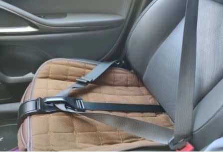 Pregnancy Seat Belt Adjuster