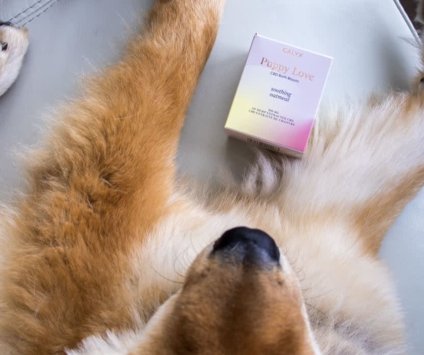 Calyx Pet Bath