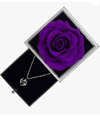 Rose of Love