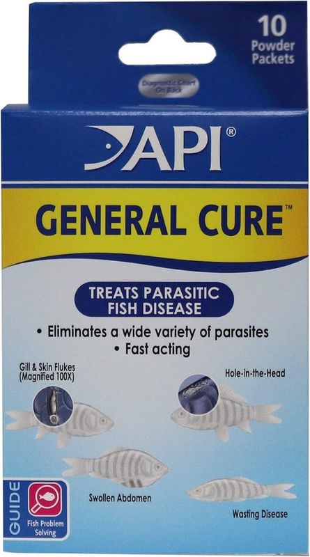 API GENERAL CURE Freshwater and Saltwater Fish Powder Medication
