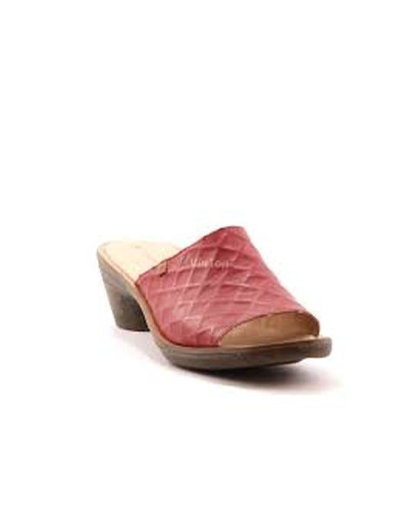 El Naturalista - 5351