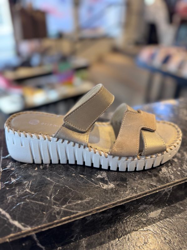 Eric Michael -Darien