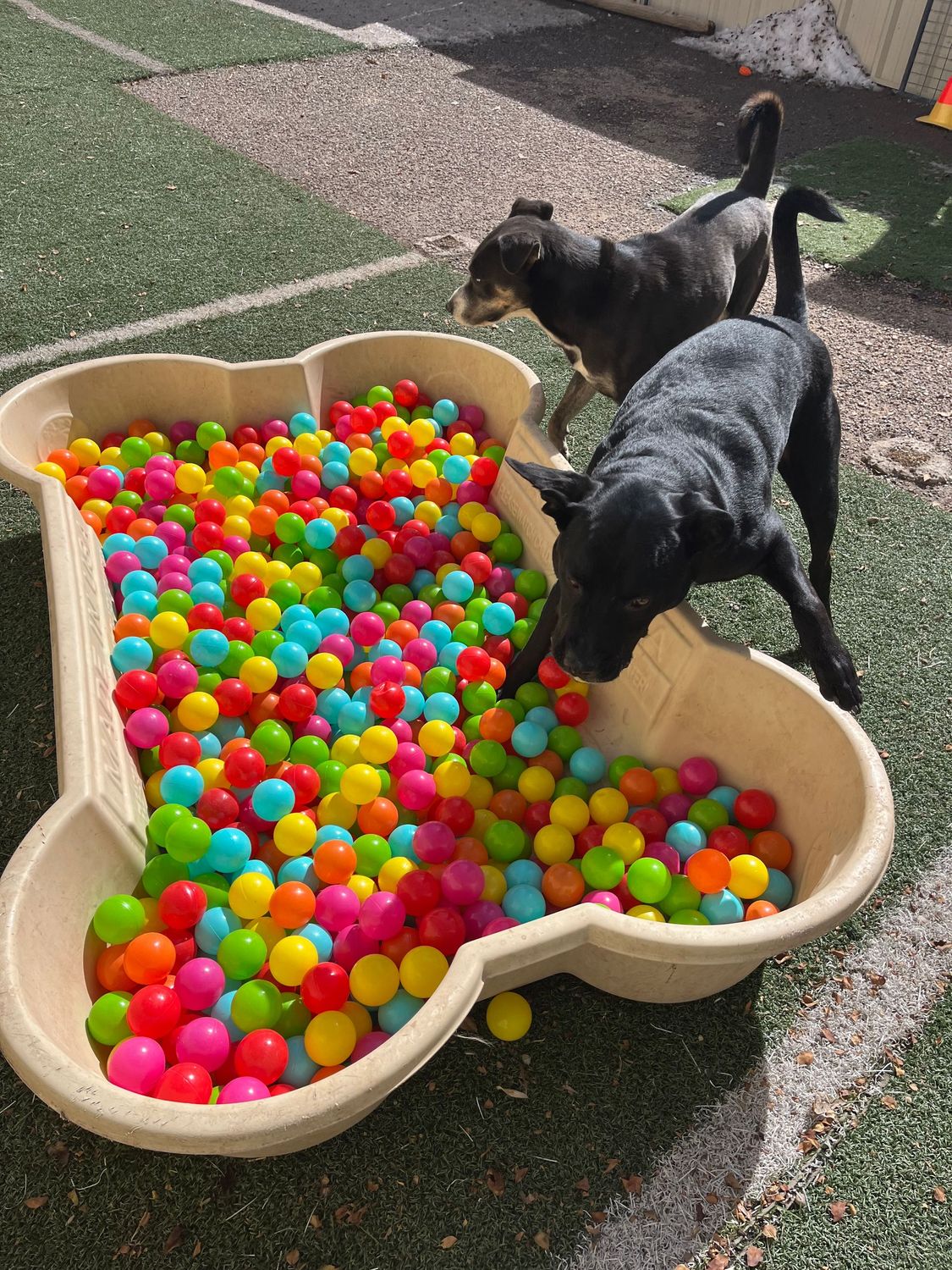 20 Daycare Days package