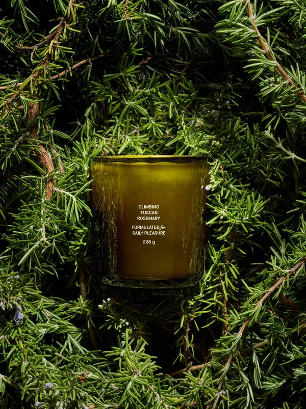 FLAMINGO ESTATE CLIMBING TUSCAN ROSEMARY CANDLE
