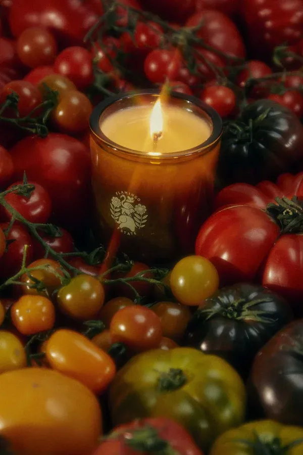 FLAMINGO ESTATE ROMA HEIRLOOM TOMATO CANDLE
