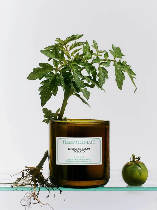 FLAMINGO ESTATE ROMA HEIRLOOM TOMATO CANDLE