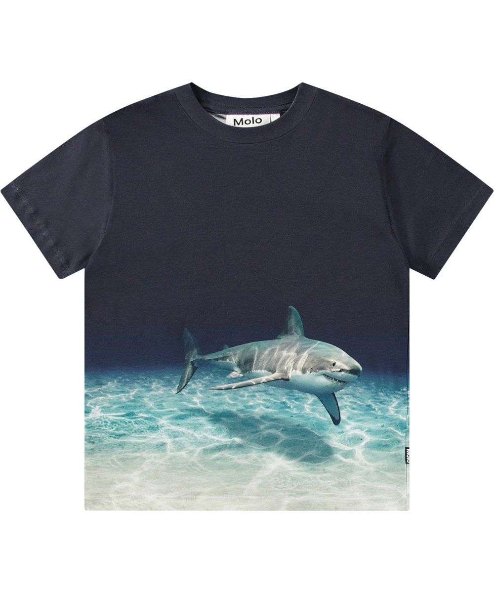 Molo Roxo Faded Shark