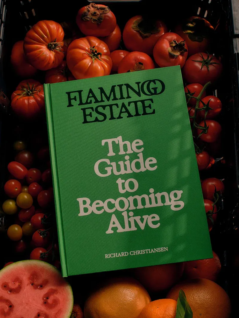 FLAMINGO ESTATE THE GUIDE TO BECOMING ALIVE BOOK