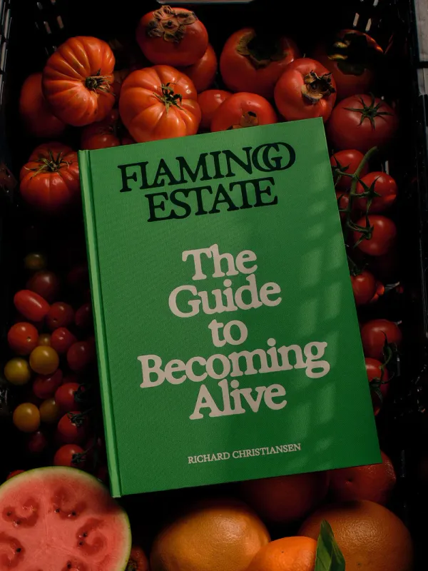 FLAMINGO ESTATE THE GUIDE TO BECOMING ALIVE BOOK