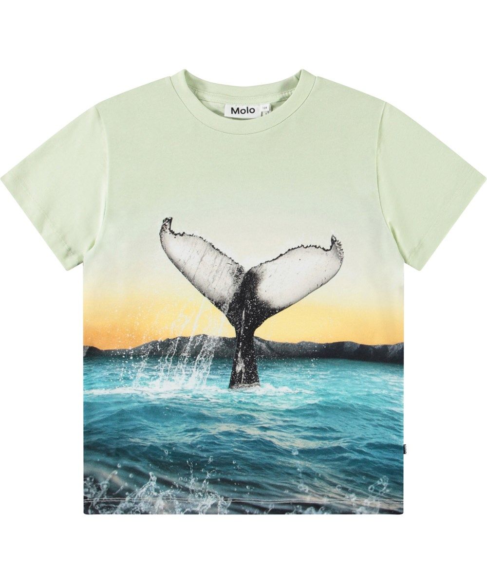 Molo Rame Whale tail