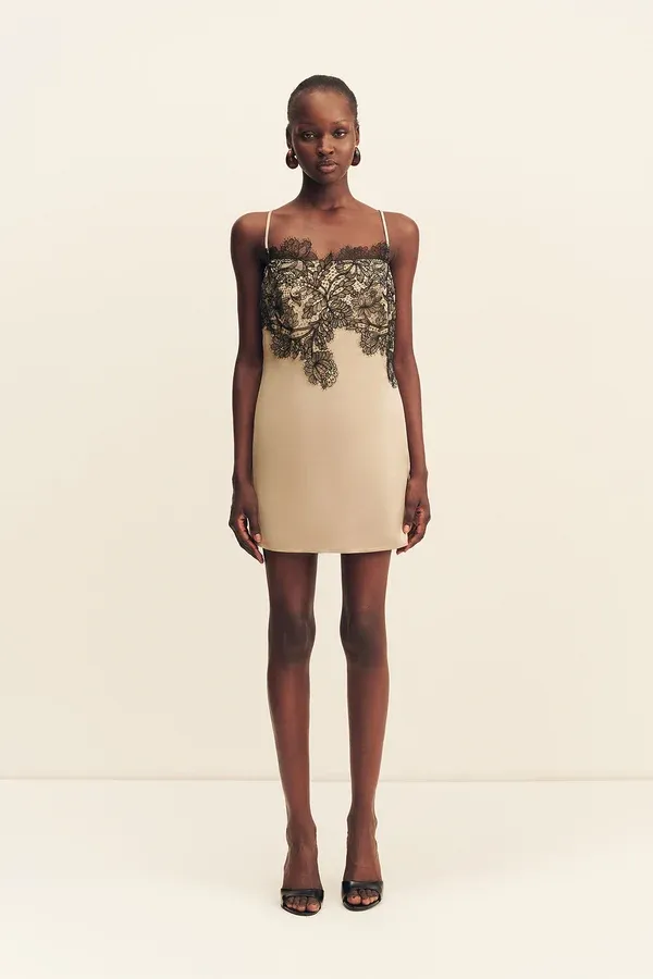 Shona Joy Lucia Lace Mini Dress