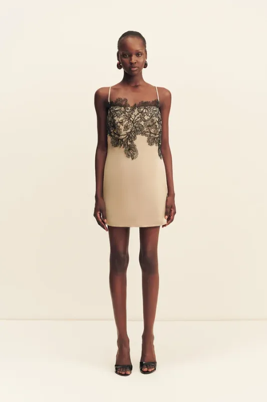 Shona Joy Lucia Lace Mini Dress