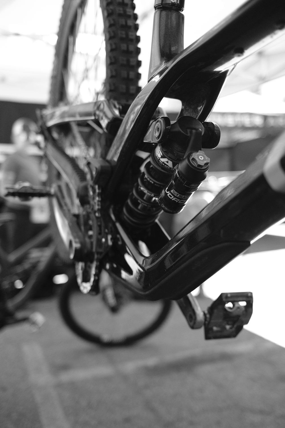 Service - Rear Shock Overhaul