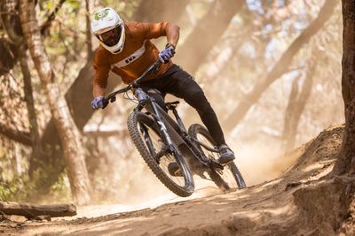 All Mountain/Enduro Suspension Forks