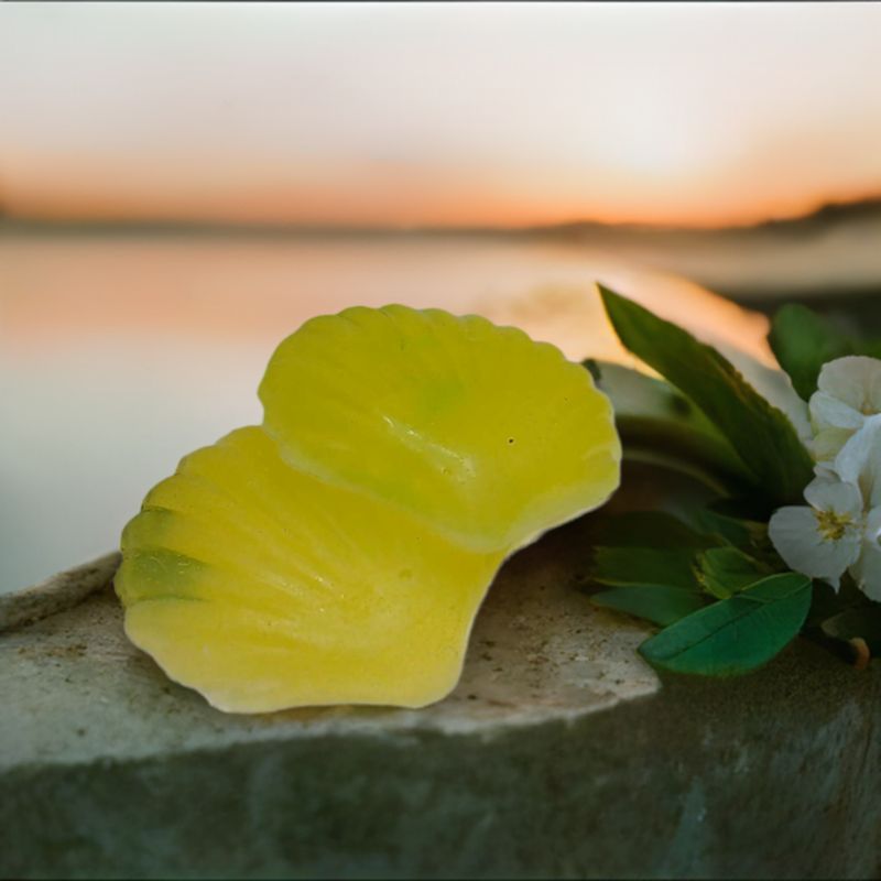 Yellow Jasmine Shell Soap