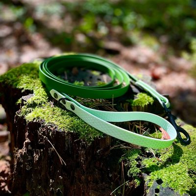 Linka dla małego lub średniego psa - Oliwkowy