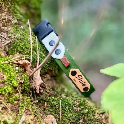 Obroża zatrzaskowa dla psa - Oliwkowy