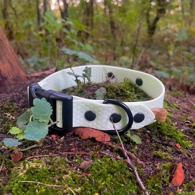 Obroża zatrzaskowa dla psa - Miętowy