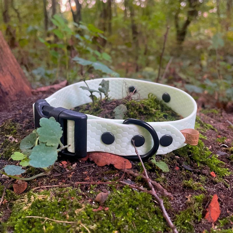Obroża zatrzaskowa dla psa - Miętowy