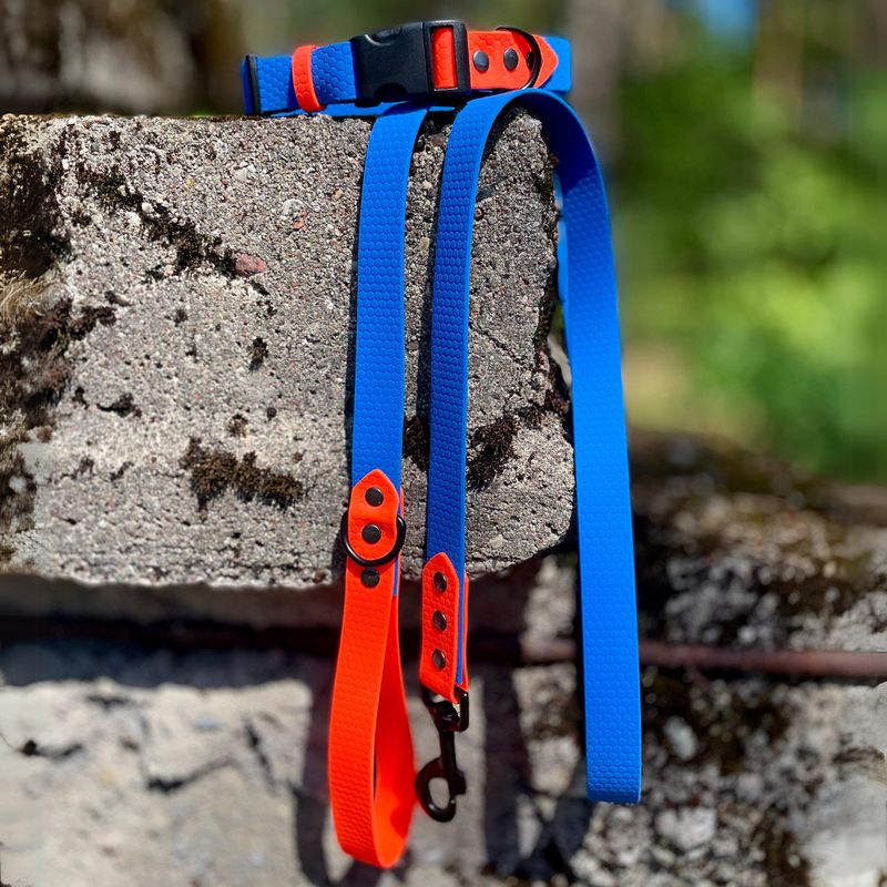 Linka dla większego psa - Szafirowy