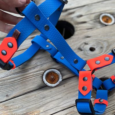 Szelki guard dla mikro psiaka - Szafirowe