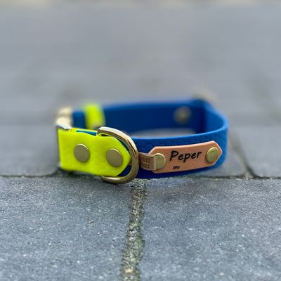 Obroża zatrzaskowa dla psa - Szafirowy