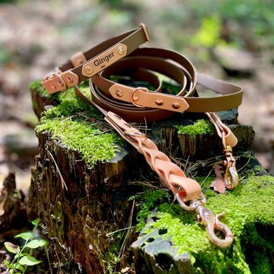 Smycz przepinana dla małego lub średniego psa - Czekoladowy