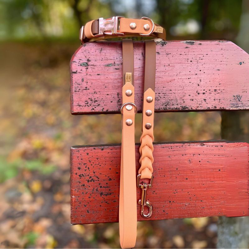 Smycz miejska dla większego psa - Czekoladowy