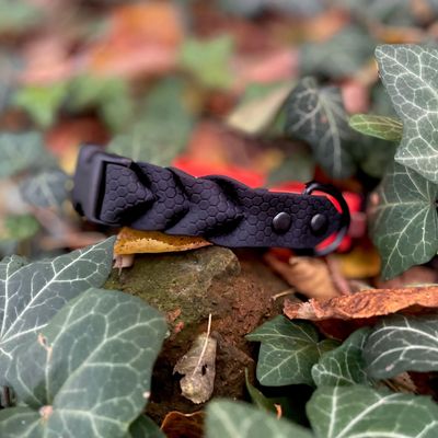 Stwórz swoją własną obrożę dla psa z warkoczem