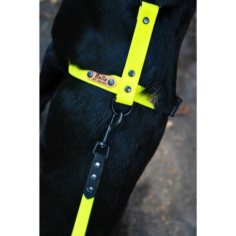 Linka dla większego psa - Cytrynowy