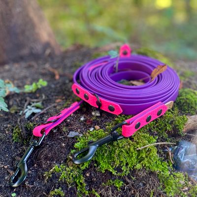 Smycz przepinana dla małego lub średniego psa - Fioletowy