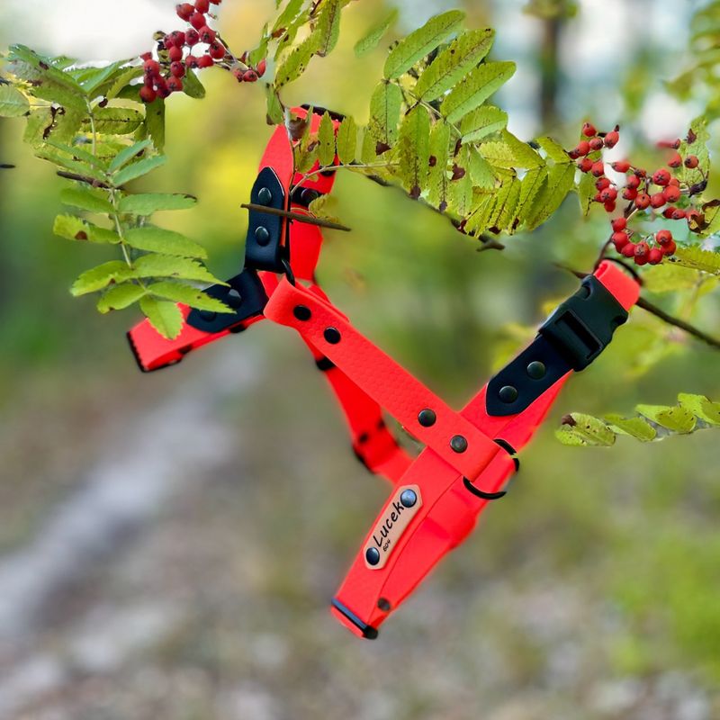 Szelki guard dla mikro psiaka - Pomarańczowe