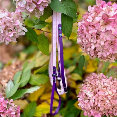 Smycz miejska dla małego lub średniego psa - Pudrowy